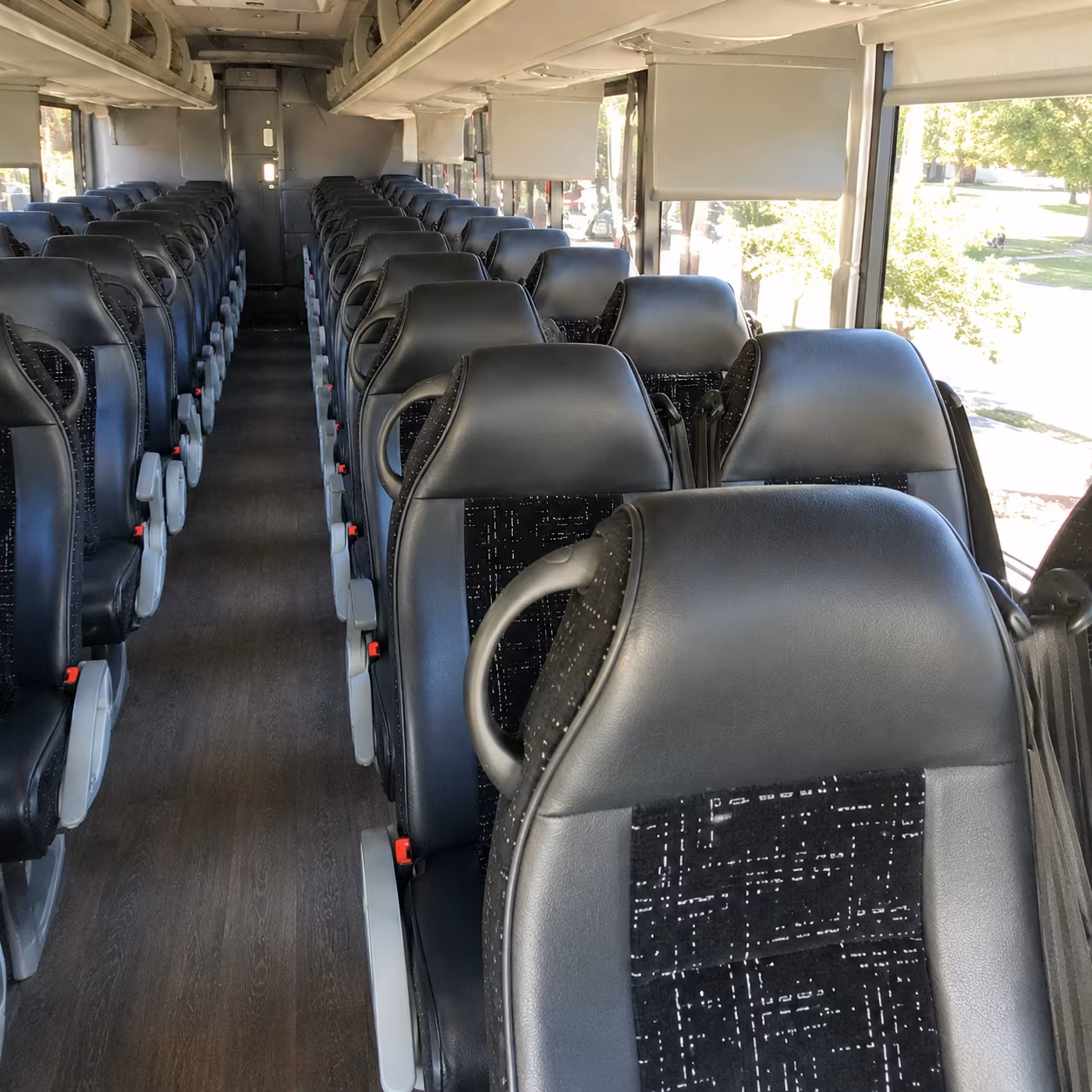 elizabeth charter bus hero 2