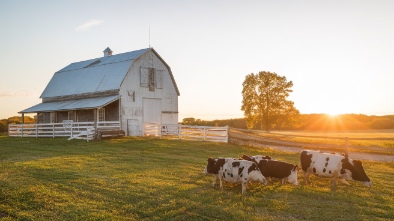 connecticut farms